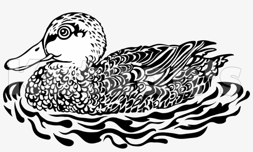 Duckling - Duck, transparent png download