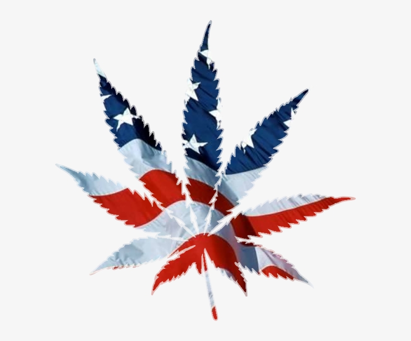 Home - American Flag Pot Leaf Png, transparent png download