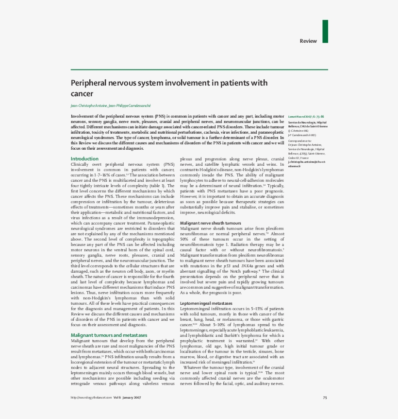 Peripheral Nervous System Involvement In Patients With - Plaza De San Marcos, transparent png download