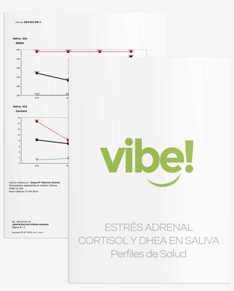 Test Saliva Cortisol - Diagram, transparent png download