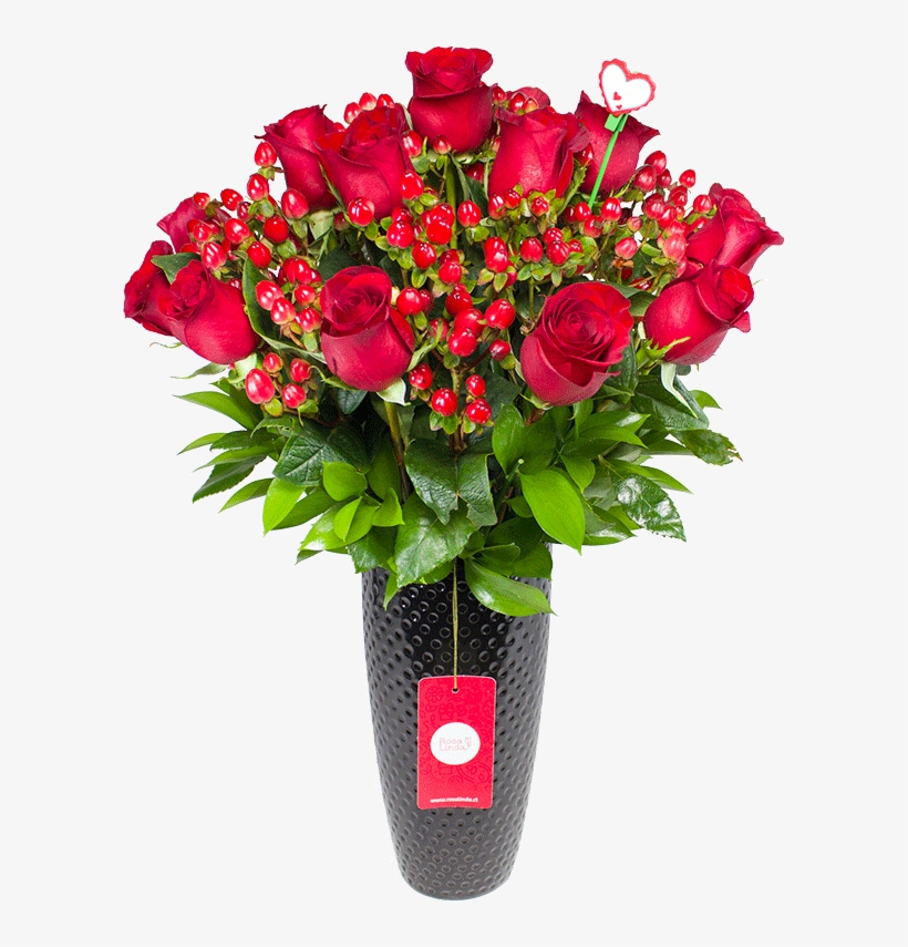 Amplio Catálogo De Productos - Garden Roses, transparent png download