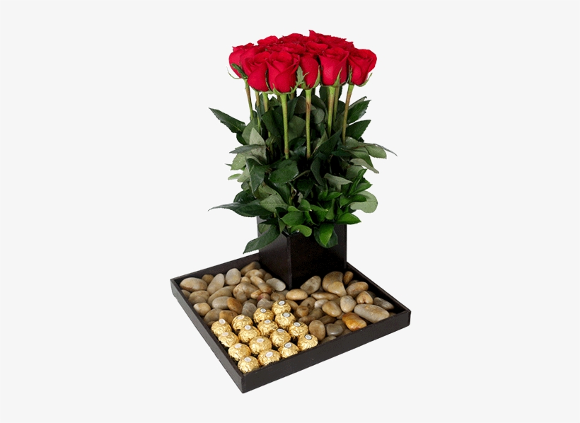 Arreglo De Rosas Con Ferrero - Garden Roses, transparent png download