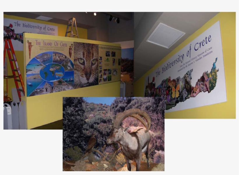 Mural2 - Creative Arts, transparent png download