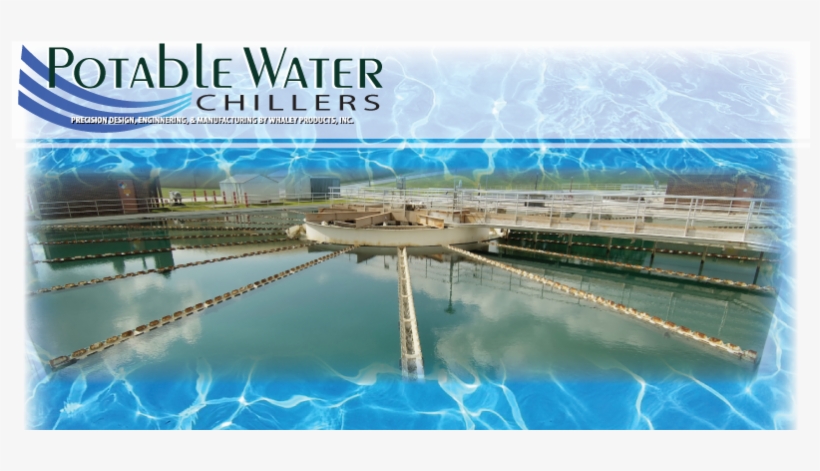 Reflection, transparent png download