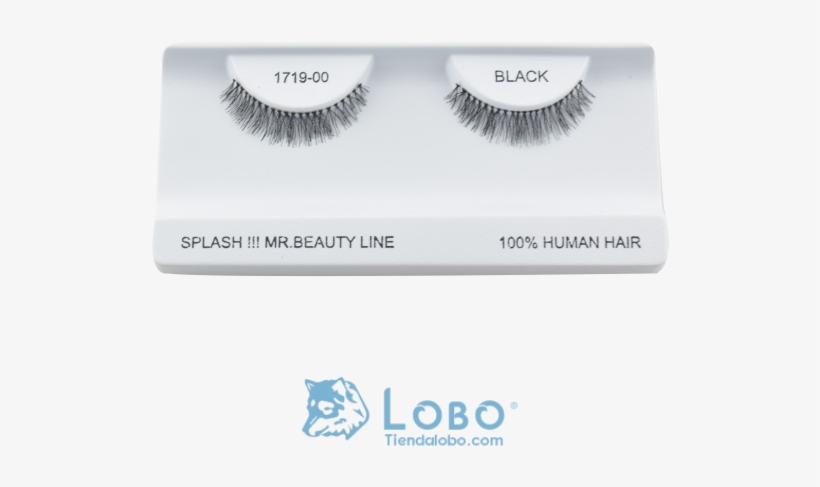 Pestaña Postiza Tira Cerrada Corta Pelo Humano Negro - Eyelash Extensions, transparent png download