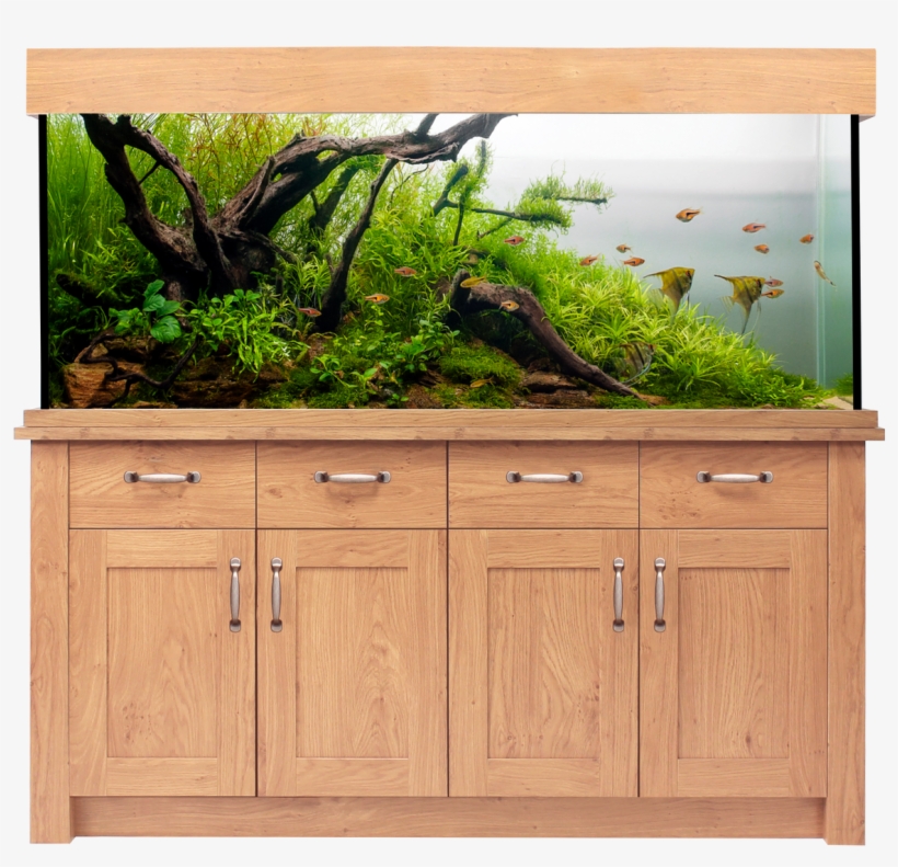 Aqua One Oakstyle Aquarium And Cabinet 300 Litres - Aquarium Pflanzen, transparent png download
