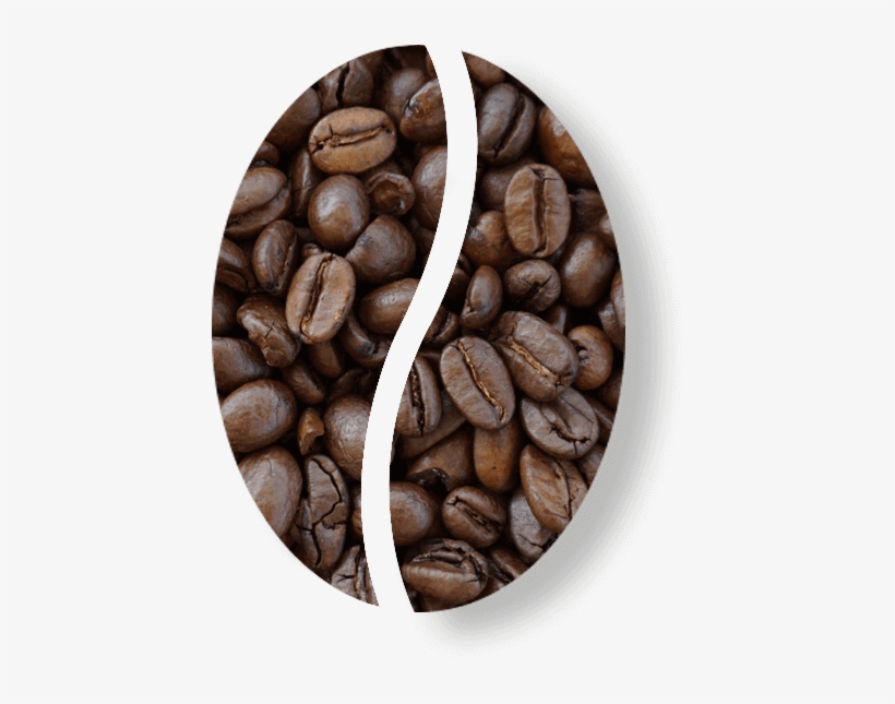 Café Tostado - Java Coffee, transparent png download