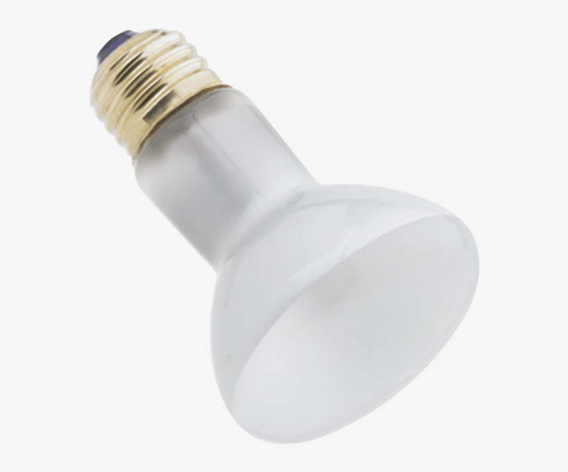 Tipo De Bombillo - Compact Fluorescent Lamp, transparent png download