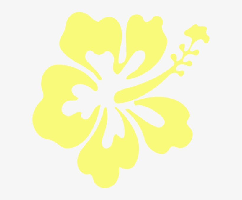 Hibiscus, transparent png download