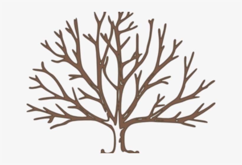 Draw A Tree With Snow, transparent png download
