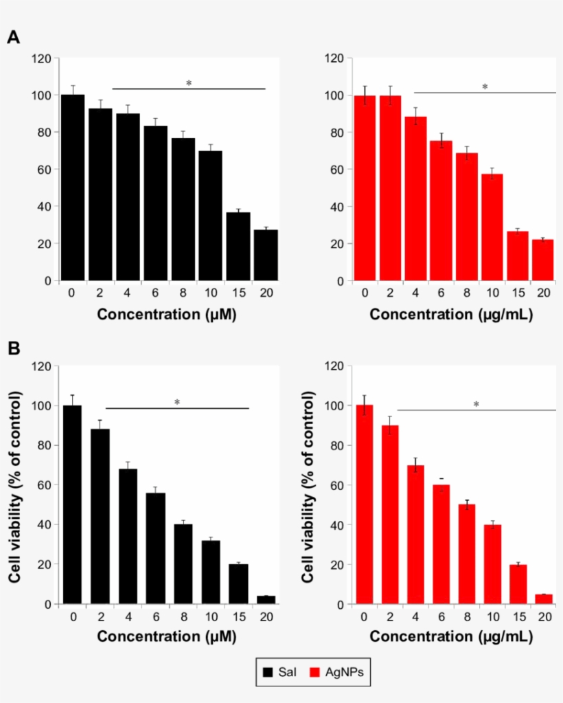 Dose-dependent Effect Of Sal And Agnps On Cell Viability - Endothelium-derived Hyperpolarizing Factor, transparent png download