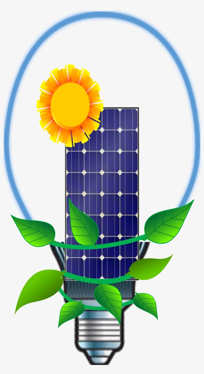 Sunflower, transparent png download