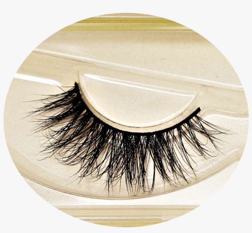 Brush Vector Eyelash - Library, transparent png download