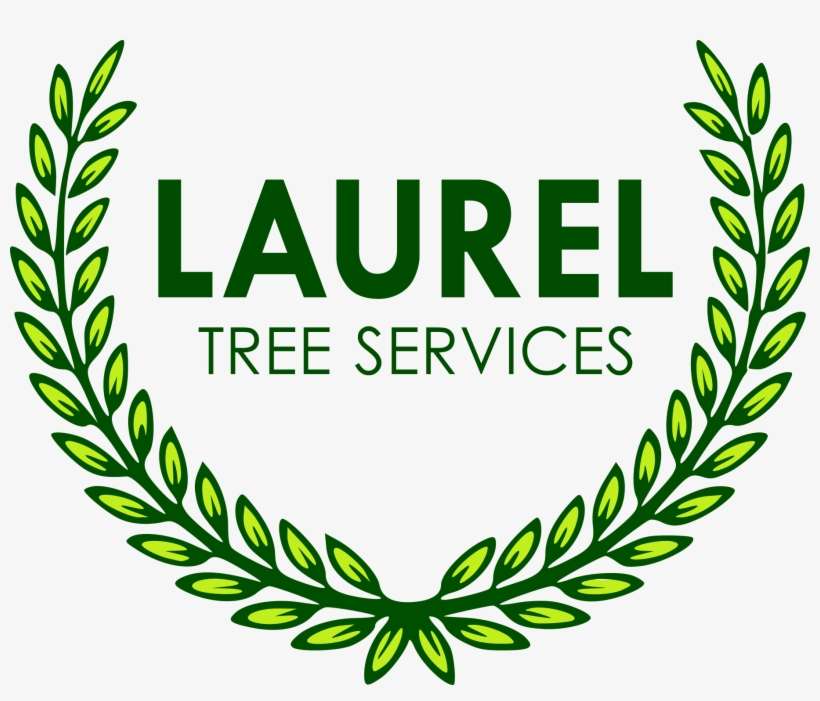 Laurel Tree Services - Overseas Education Visiting Card, transparent png download