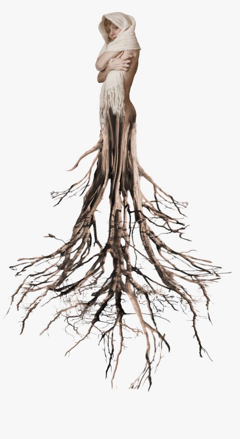 Tree Roots Surreal Woman Tumblr Ftestickers - Surreal Png, transparent png download