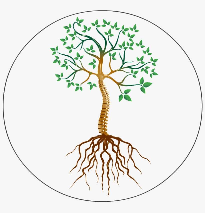 Jordan Axe - Root Cause Clinic, transparent png download