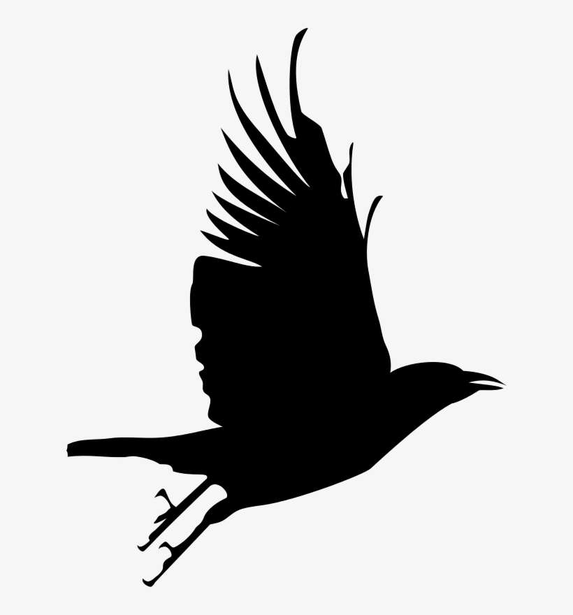 Flying Crow Silhouette, transparent png download