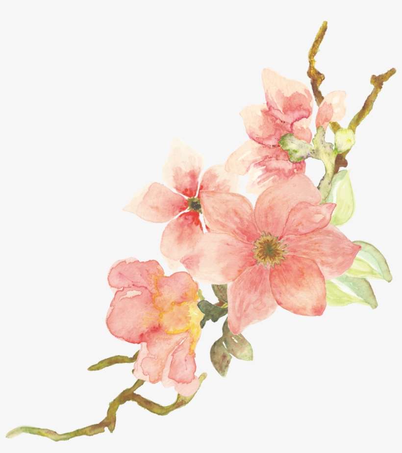 Discover - Watercolor Painting, transparent png download
