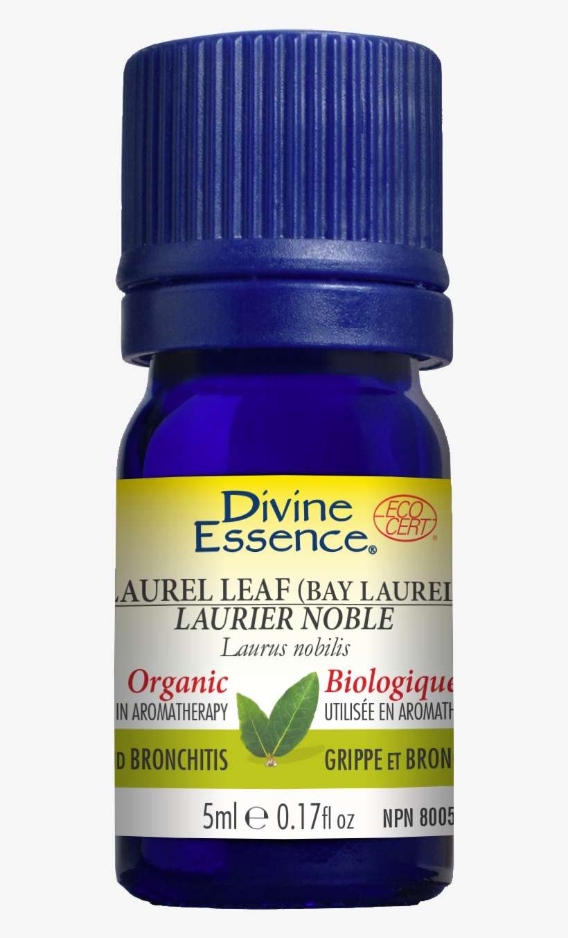 Share - Divine Essence Carrot Organic Essential Oil, transparent png download