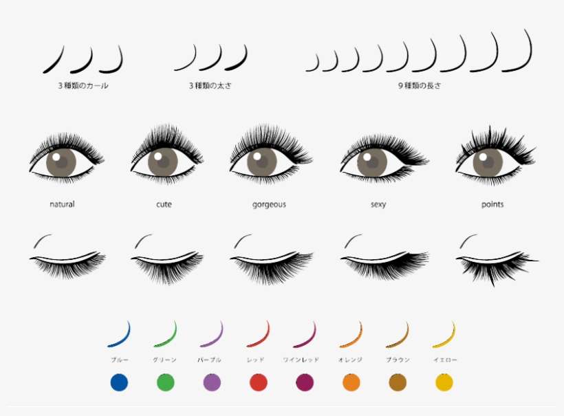 Have You Ever Wished For Thick Beautiful And Curled - Lash Extension L Curl, transparent png download