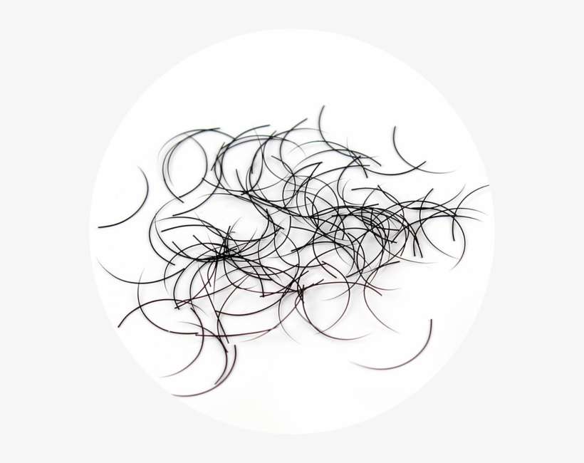 Human Eyelashes Extensions, transparent png download