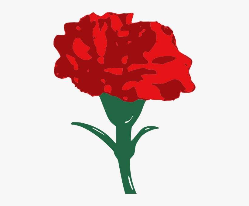 Carnation Cliparts - Red Carnation Clip Art, transparent png download