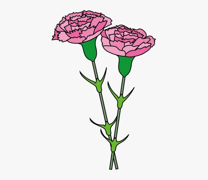 Carnation Cliparts - Pink Carnation Clip Art, transparent png download