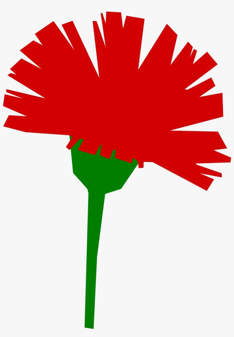 Open - Carnation Icon, transparent png download