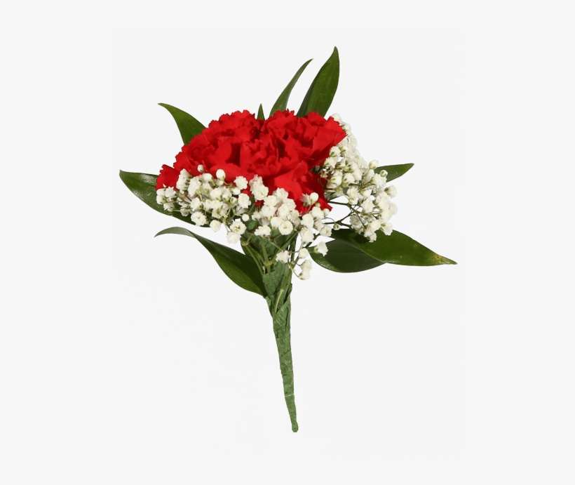 Red Carnation Boutonniere PNG Image Transparent PNG Free Download on