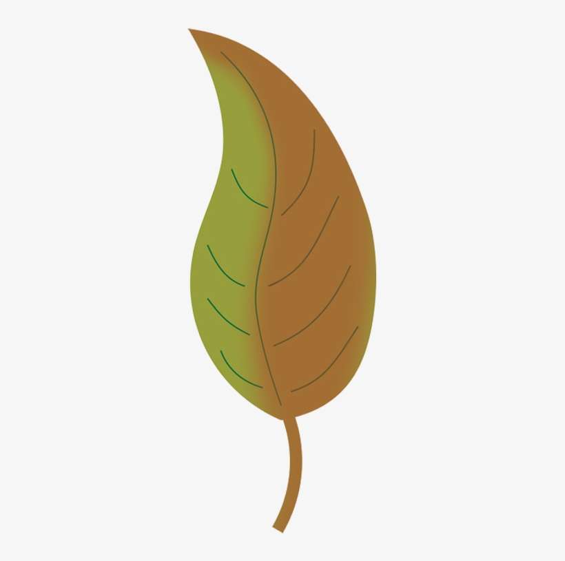 Fall Leaves Clip Art Beautiful Autumn Clipart Png - Autumn Leaf Color, transparent png download