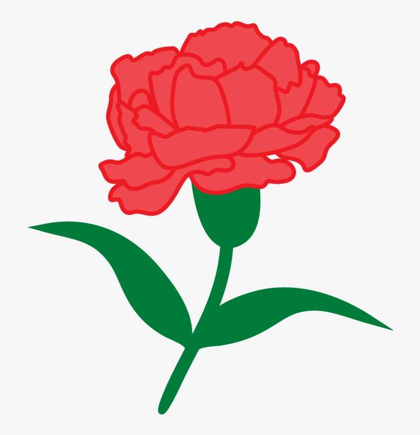 Greeklettersofficial , Sos Carnation 2017-01 - Portable Network Graphics, transparent png download