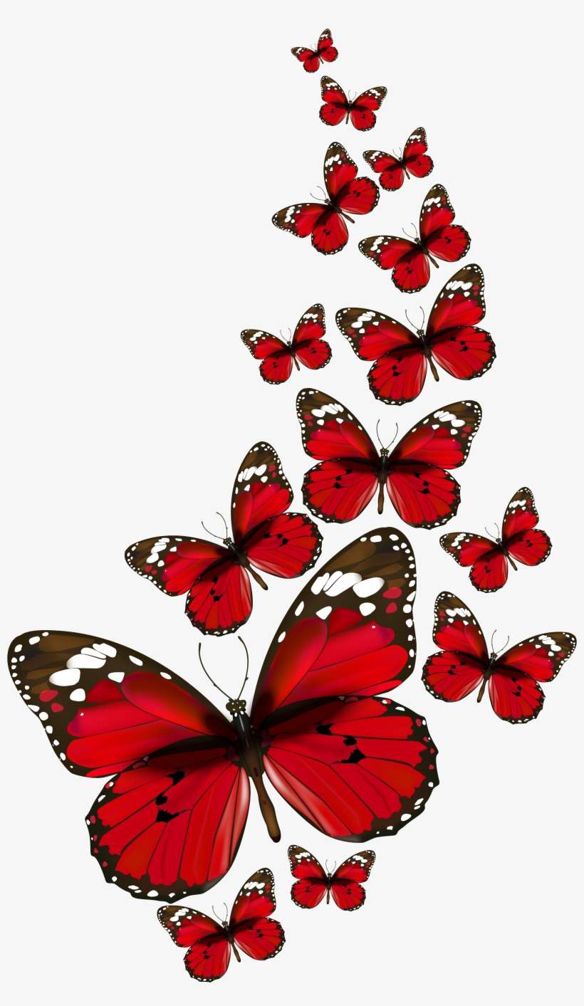 Red Butterflies Png, transparent png download