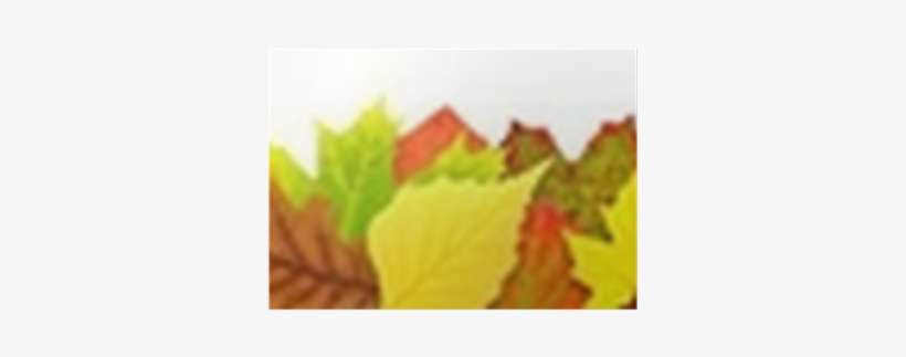Colorful Autumn Leaves Border Isolated On White Poster - White, transparent png download