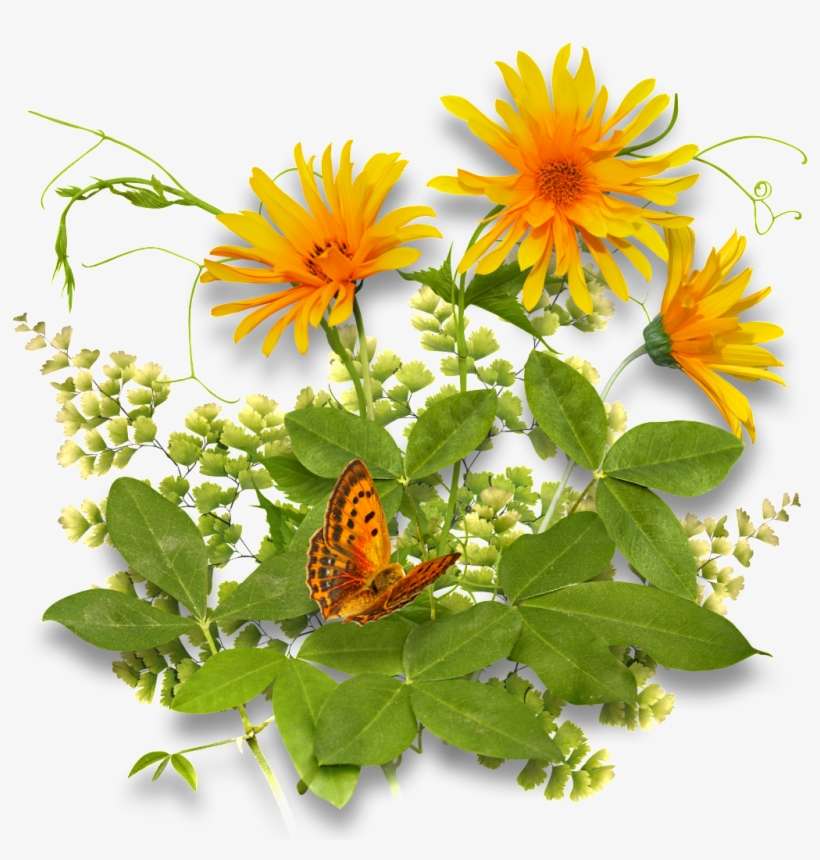 This Product Design Is Flowers And Butterflies With - Flores Fondo Transparente Png, transparent png download