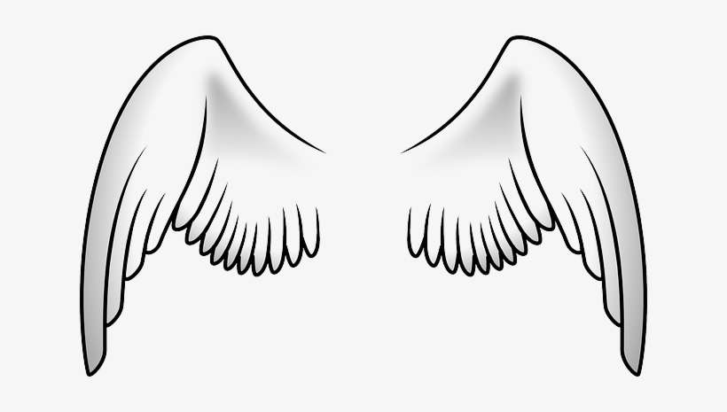 Download Png Image Report - Clipart Wings, transparent png download