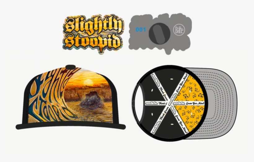 Slightly Stoopid Sslphatpinxpng - Everyday Life, Everyday People, transparent png download