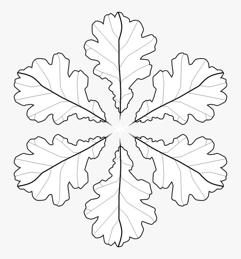 Medium Image - Coloring Book, transparent png download