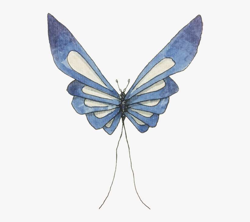 < Inicio - Lycaenid, transparent png download