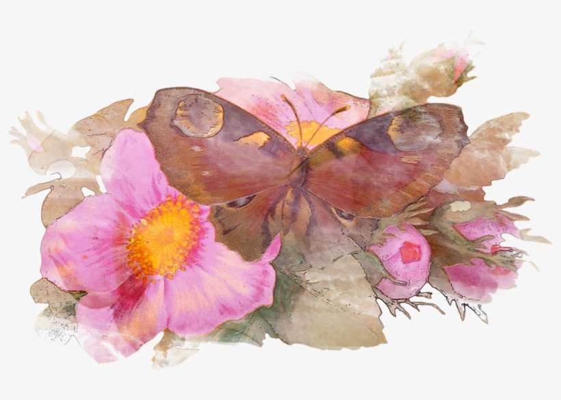 Drawing, transparent png download