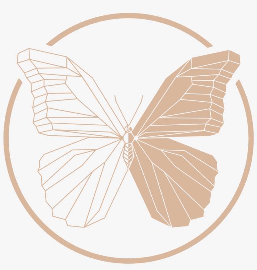 Mariposa Hotel - Butterfly, transparent png download