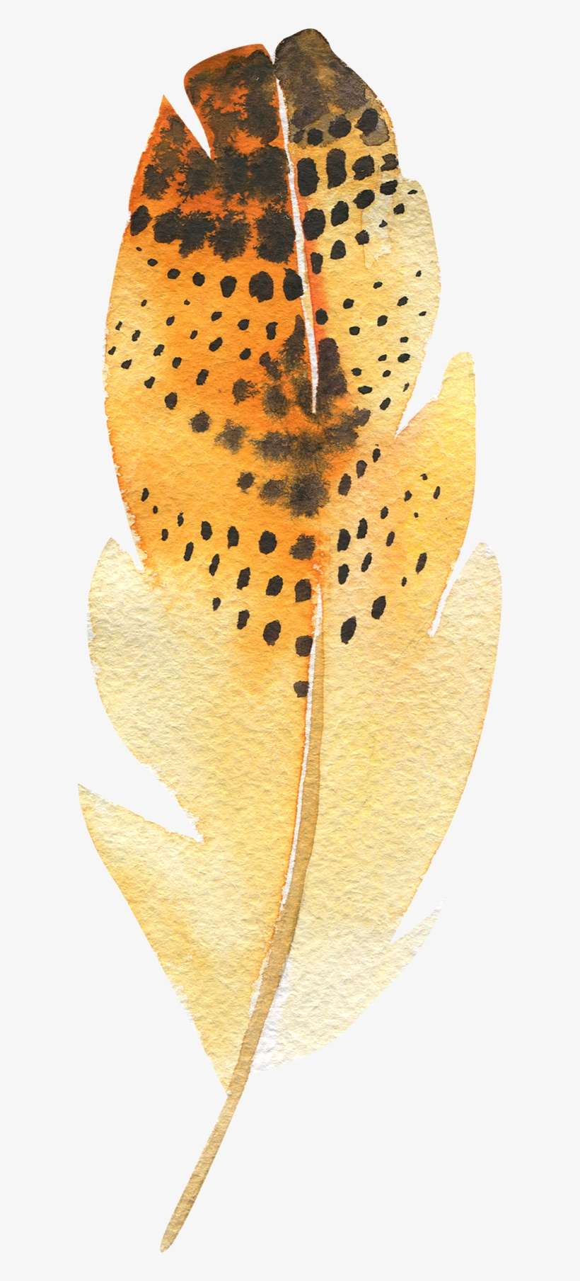 7 Feather - Povlak Na Polštář Feather, 40 X 40 Cm, transparent png download