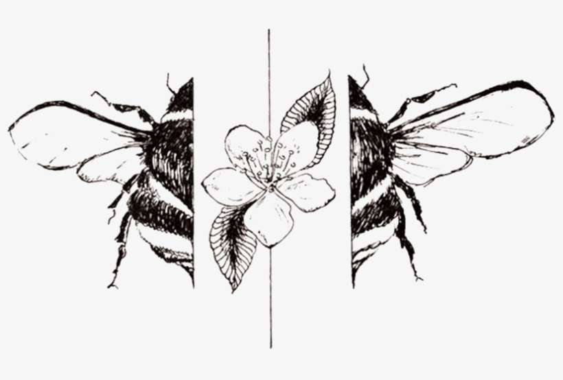 Bee In Frame - Jpeg, transparent png download