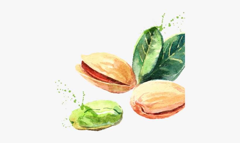 Whether It's A Food Truck, Market Stall, Catering Service, - Illustration, transparent png download