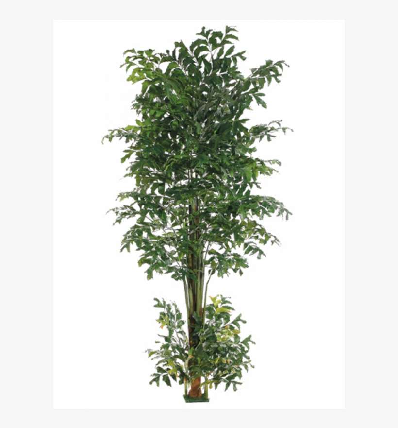10' Fishtail Palm Tree W/1426 Leaves & Square Base - Silk Plants Direct Fishtail Palm Tree - Green - Pack, transparent png download