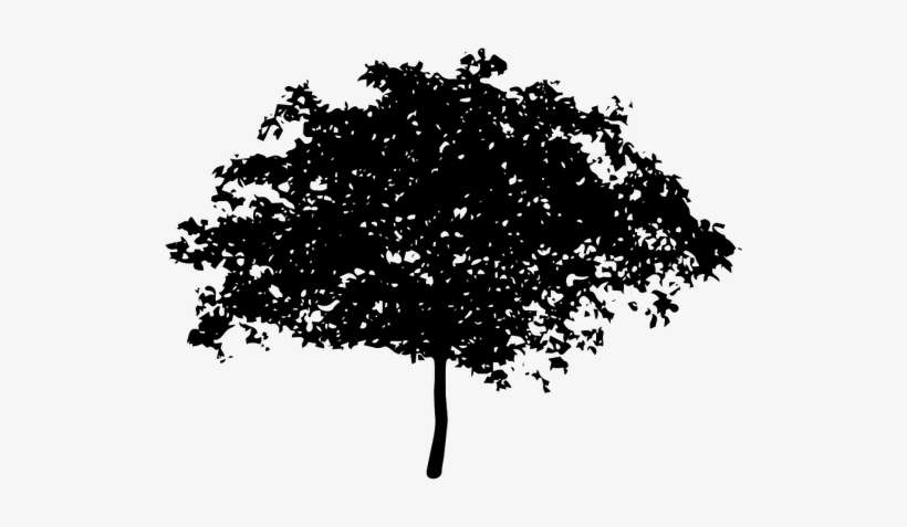 The Silhouette Of The 8 Tree Voice Of The Children In The Apple Tree Png Image Transparent Png Free Download On Seekpng