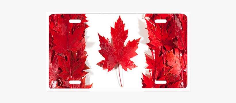 Canadian Flag - Canada Flag License Plate, transparent png download