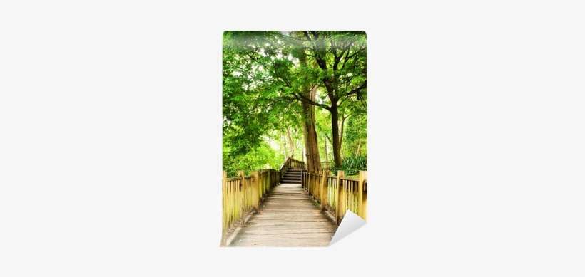 Stairway To Jungle, National Park, Chiang Mai,thailand - Boardwalk, transparent png download