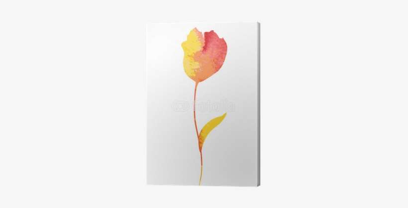 Tulip, transparent png download