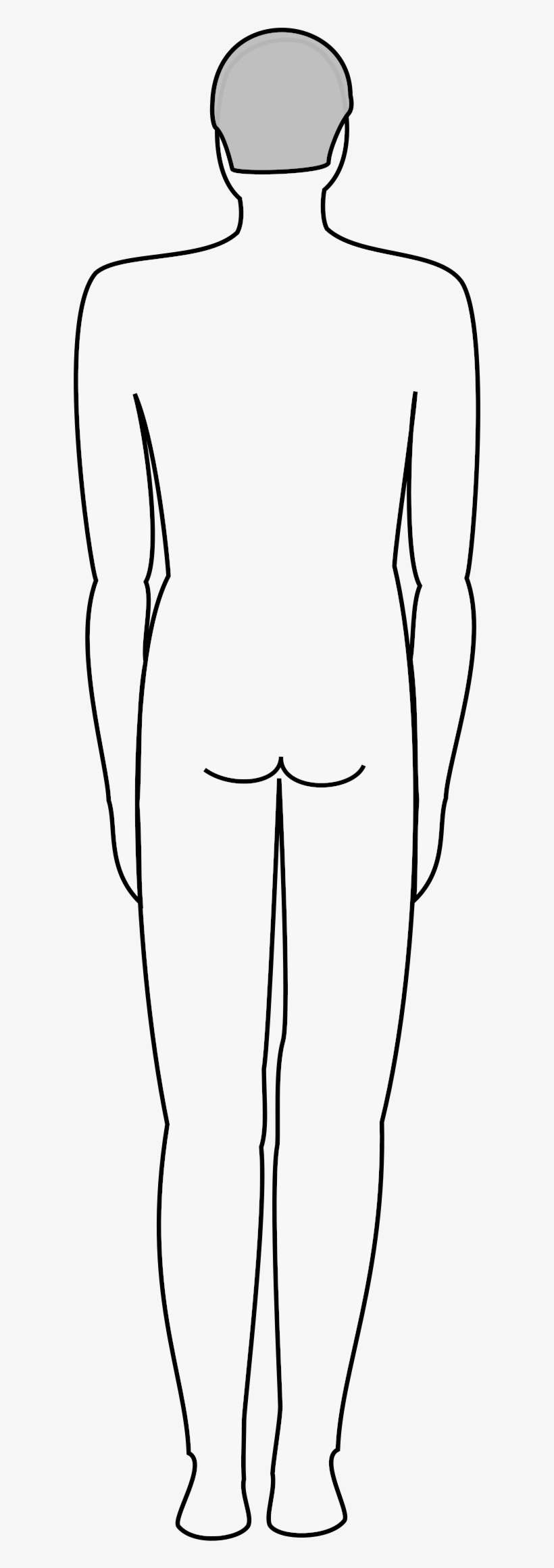 Big Image - Human Body, transparent png download