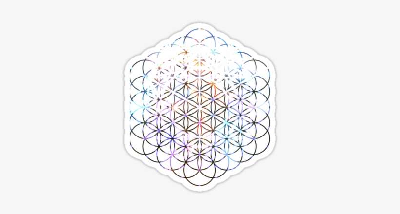 Carina Flower Of Life - Mandala, transparent png download